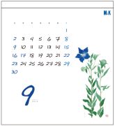 麻美乃絵カレンダー