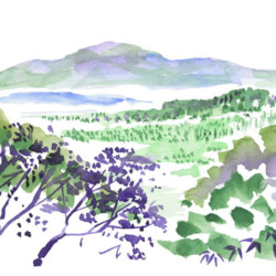 天地人 第24回 新聞連載小説「天地人」024 - Tenchijin024