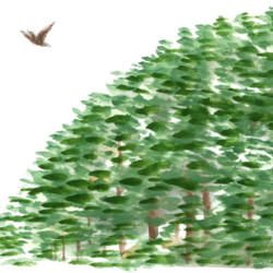 天地人 第74回 新聞連載小説「天地人」074 - Tenchijin074